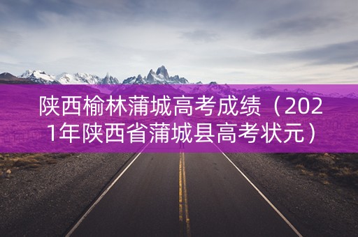 陕西榆林蒲城高考成绩（2021年陕西省蒲城县高考状元）