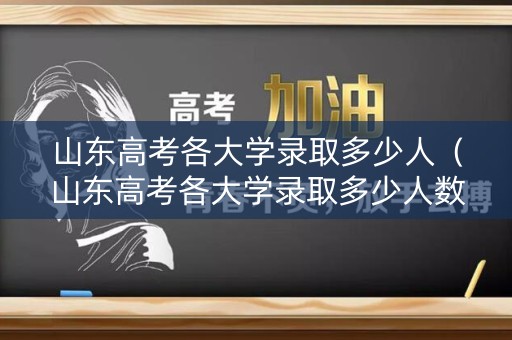 山东高考各大学录取多少人（山东高考各大学录取多少人数）