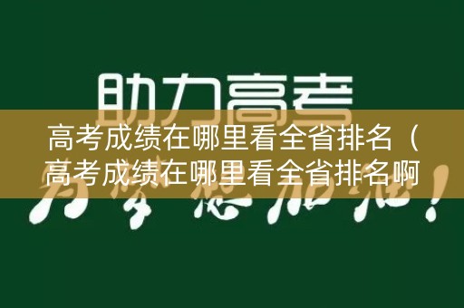 高考成绩在哪里看全省排名（高考成绩在哪里看全省排名啊）