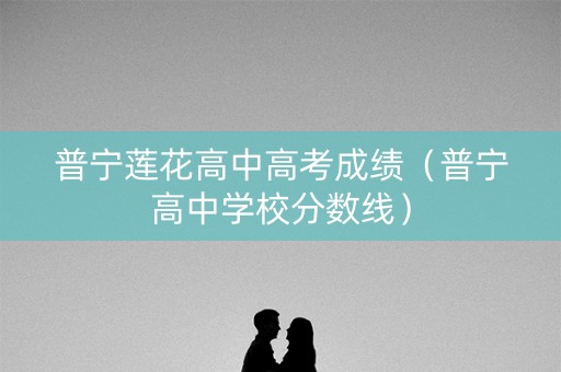 普宁莲花高中高考成绩（普宁高中学校分数线）