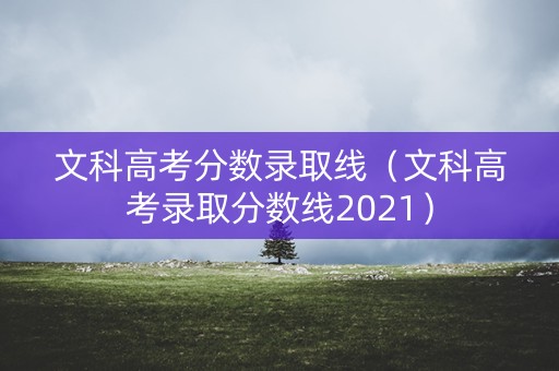 文科高考分数录取线（文科高考录取分数线2021）