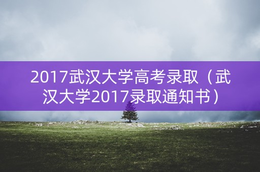 2017武汉大学高考录取（武汉大学2017录取通知书）