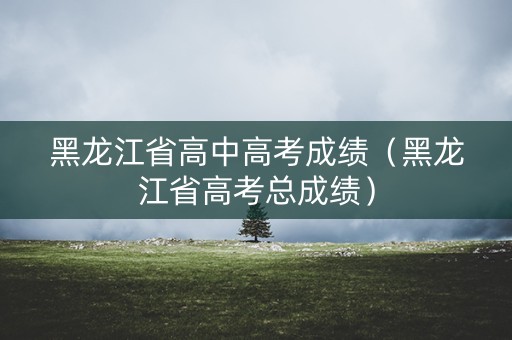 黑龙江省高中高考成绩（黑龙江省高考总成绩）