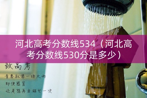 河北高考分数线534（河北高考分数线530分是多少）