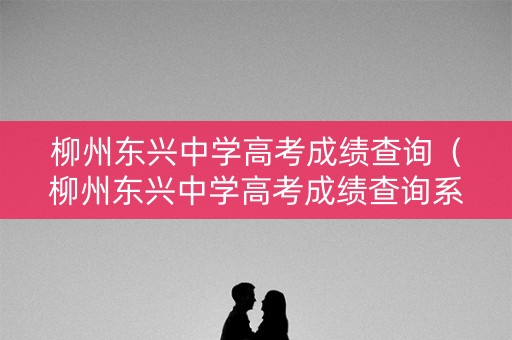 柳州东兴中学高考成绩查询（柳州东兴中学高考成绩查询系统）