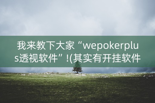 我来教下大家“wepokerplus透视软件”!(其实有开挂软件)-知乎
