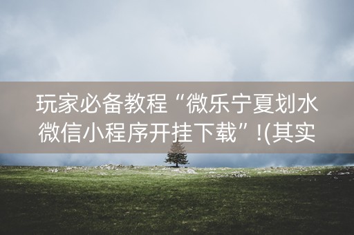 玩家必备教程“微乐宁夏划水微信小程序开挂下载”!(其实有开挂软件)-知乎
