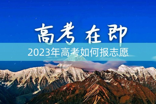 2023年高考如何报志愿