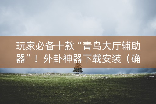 玩家必备十款“青鸟大厅辅助器”！外卦神器下载安装（确实真的有挂)-知乎