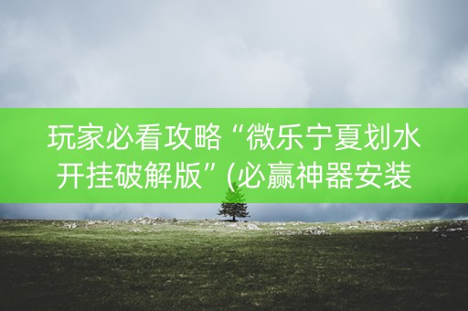 玩家必看攻略“微乐宁夏划水开挂破解版”(必赢神器安装)-知乎