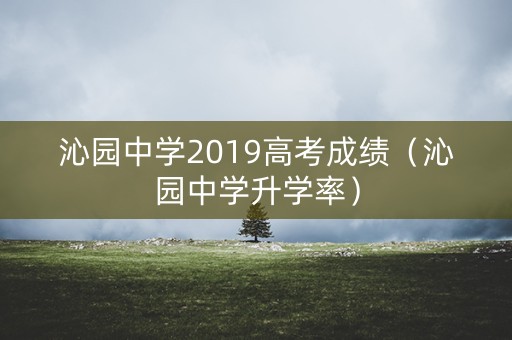 沁园中学2019高考成绩（沁园中学升学率）