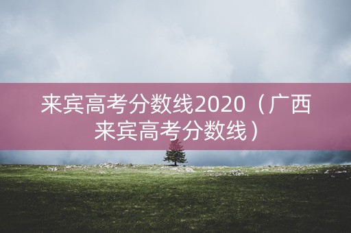 来宾高考分数线2020（广西来宾高考分数线）