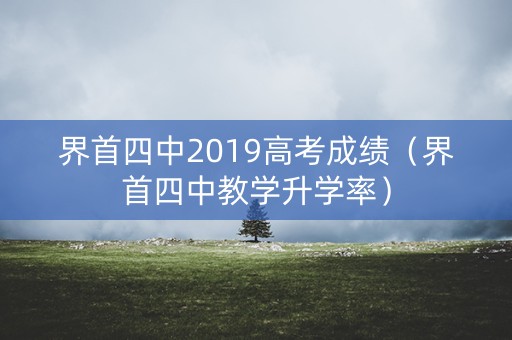 界首四中2019高考成绩（界首四中教学升学率）