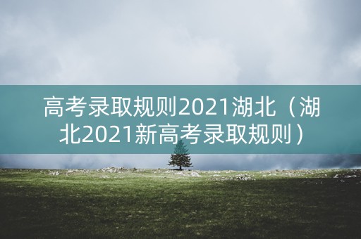 高考录取规则2021湖北（湖北2021新高考录取规则）