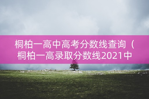 桐柏一高中高考分数线查询（桐柏一高录取分数线2021中考）