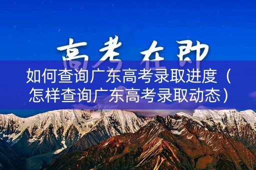 如何查询广东高考录取进度（怎样查询广东高考录取动态）