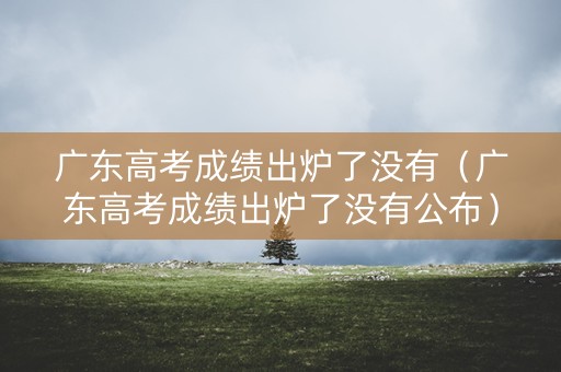 广东高考成绩出炉了没有（广东高考成绩出炉了没有公布）