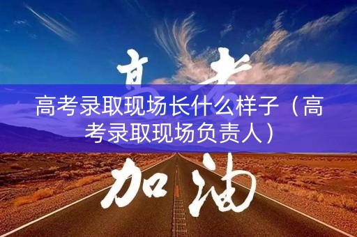 高考录取现场长什么样子（高考录取现场负责人）