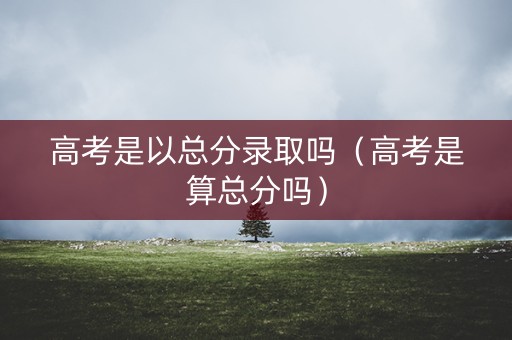 高考是以总分录取吗（高考是算总分吗）