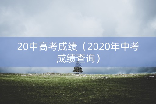 20中高考成绩（2020年中考成绩查询）