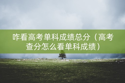 咋看高考单科成绩总分（高考查分怎么看单科成绩）