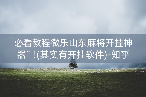 必看教程微乐山东麻将开挂神器”!(其实有开挂软件)-知乎