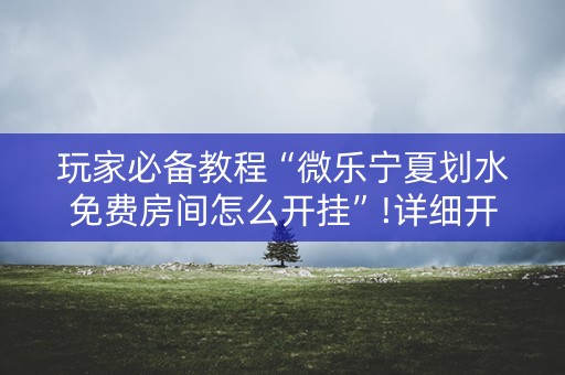 玩家必备教程“微乐宁夏划水免费房间怎么开挂”!详细开挂教程-知乎