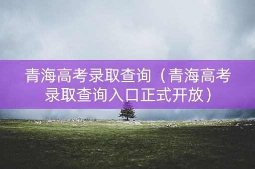 青海高考录取查询（青海高考录取查询入口正式开放）