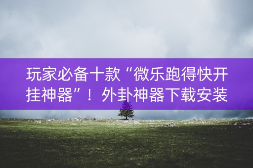 玩家必备十款“微乐跑得快开挂神器”！外卦神器下载安装（确实真的有挂)-知乎