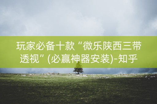 玩家必备十款“微乐陕西三带透视”(必赢神器安装)-知乎