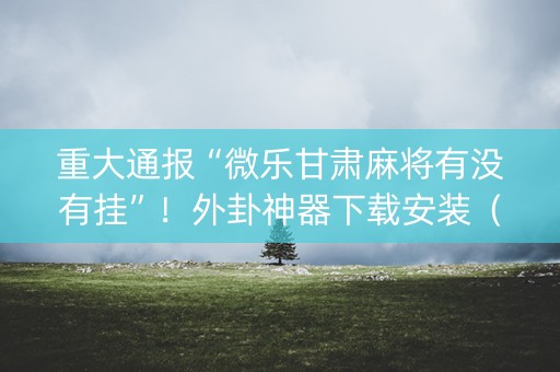 重大通报“微乐甘肃麻将有没有挂”！外卦神器下载安装（确实真的有挂)-知乎