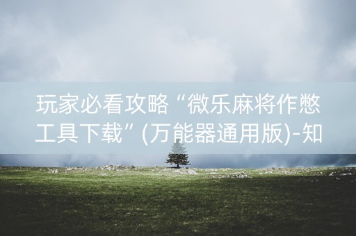 玩家必看攻略“微乐麻将作憋工具下载”(万能器通用版)-知乎