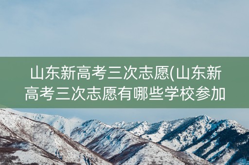 山东新高考三次志愿(山东新高考三次志愿有哪些学校参加2022年)
