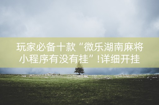 玩家必备十款“微乐湖南麻将小程序有没有挂”!详细开挂教程-知乎