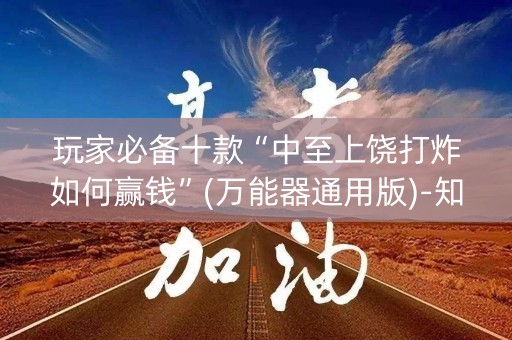 玩家必备十款“中至上饶打炸如何赢钱”(万能器通用版)-知乎
