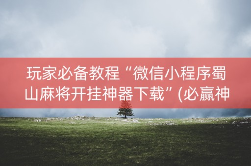 玩家必备教程“微信小程序蜀山麻将开挂神器下载”(必赢神器安装)-知乎