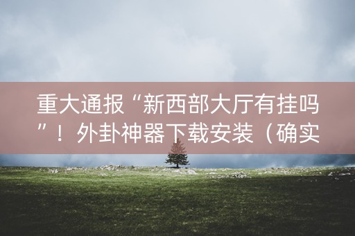 重大通报“新西部大厅有挂吗”！外卦神器下载安装（确实真的有挂)-知乎