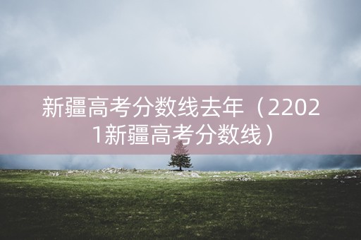 新疆高考分数线去年（22021新疆高考分数线）