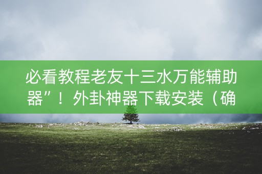 必看教程老友十三水万能辅助器”！外卦神器下载安装（确实真的有挂)-知乎