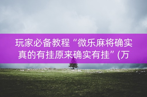 玩家必备教程“微乐麻将确实真的有挂原来确实有挂”(万能器通用版)-知乎
