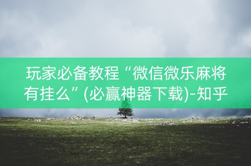玩家必备教程“微信微乐麻将有挂么”(必赢神器下载)-知乎