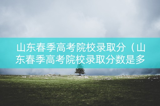 山东春季高考院校录取分（山东春季高考院校录取分数是多少）