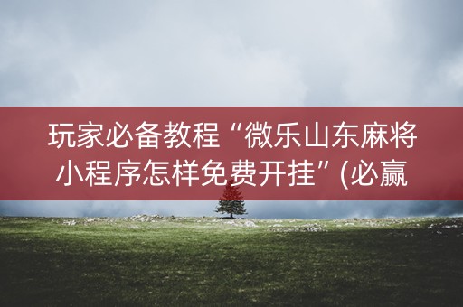 玩家必备教程“微乐山东麻将小程序怎样免费开挂”(必赢神器安装)-知乎