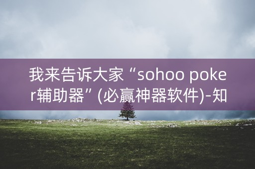 我来告诉大家“sohoo poker辅助器”(必赢神器软件)-知乎