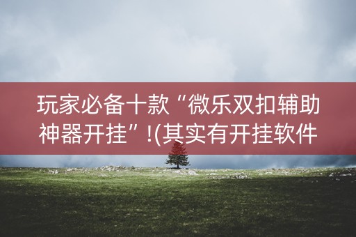玩家必备十款“微乐双扣辅助神器开挂”!(其实有开挂软件)-知乎