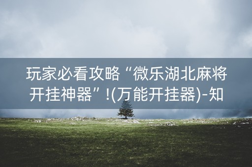 玩家必看攻略“微乐湖北麻将开挂神器”!(万能开挂器)-知乎
