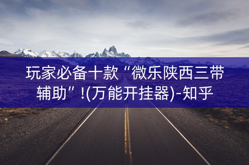 玩家必备十款“微乐陕西三带辅助”!(万能开挂器)-知乎