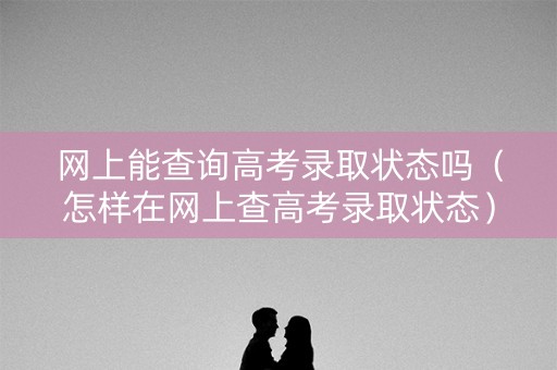 网上能查询高考录取状态吗（怎样在网上查高考录取状态）