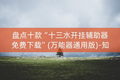 盘点十款“十三水开挂辅助器免费下载”(万能器通用版)-知乎