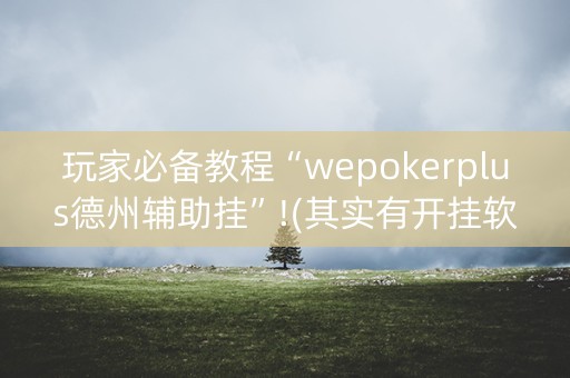 玩家必备教程“wepokerplus德州辅助挂”!(其实有开挂软件)-知乎